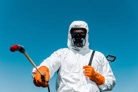 Pest Control for Hotels in Lake City, FL